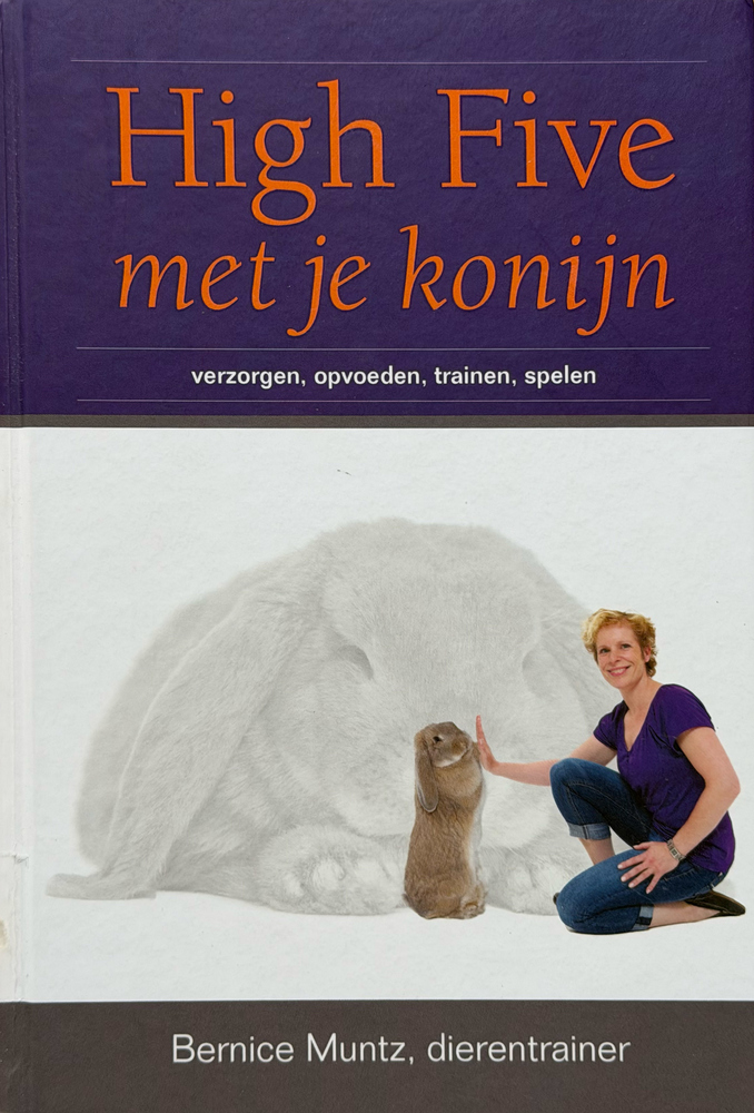 High Five met je konijn